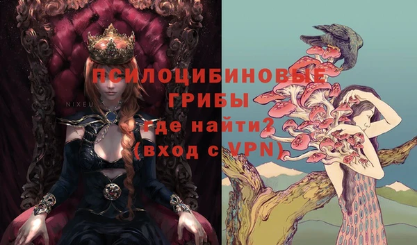 индика Верхнеуральск