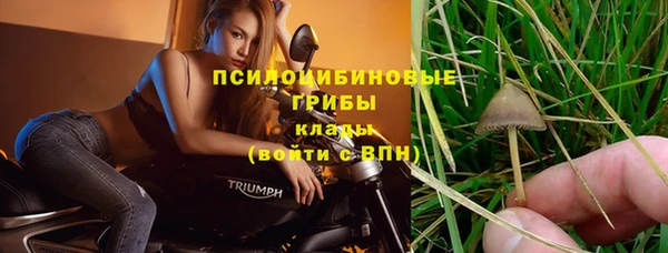 гидропоника Верея